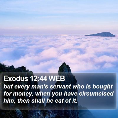 Exodus 12:44 WEB Bible Verse Image