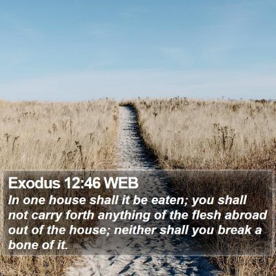 Exodus 12:46 WEB Bible Verse Image