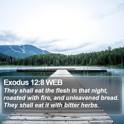 Exodus 12:8 WEB Bible Verse Image