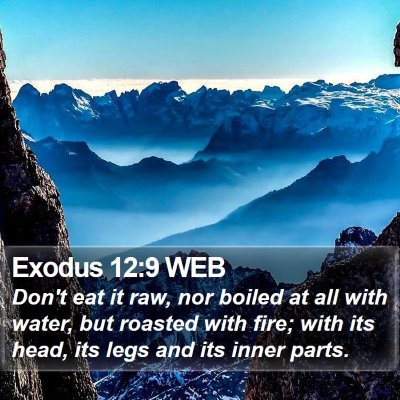 Exodus 12:9 WEB Bible Verse Image
