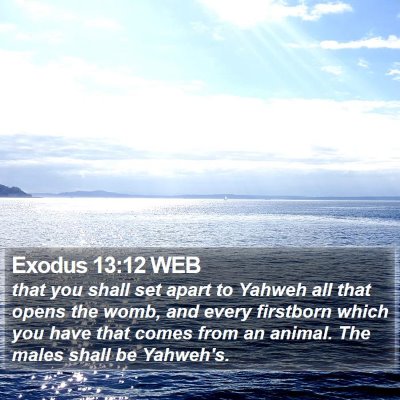 Exodus 13:12 WEB Bible Verse Image