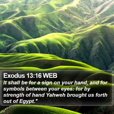 Exodus 13:16 WEB Bible Verse Image
