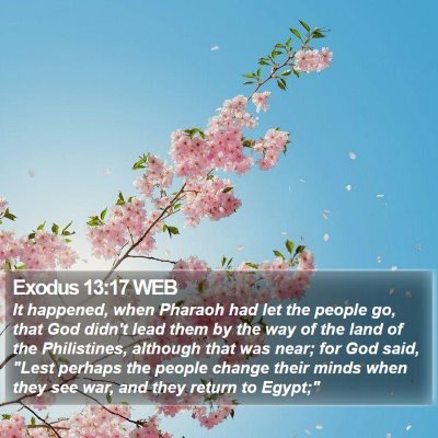 Exodus 13:17 WEB Bible Verse Image