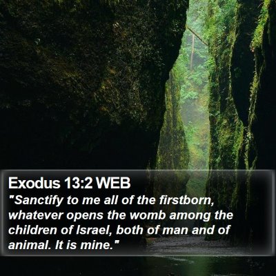Exodus 13:2 WEB Bible Verse Image