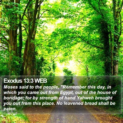 Exodus 13:3 WEB Bible Verse Image