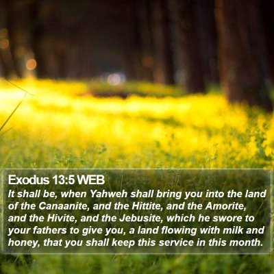 Exodus 13:5 WEB Bible Verse Image