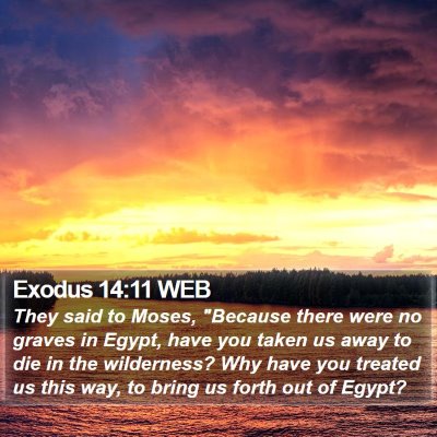 Exodus 14:11 WEB Bible Verse Image