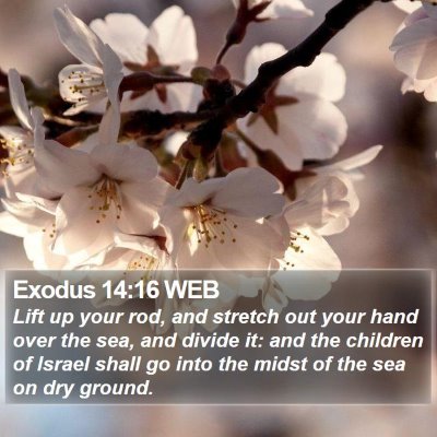 Exodus 14:16 WEB Bible Verse Image