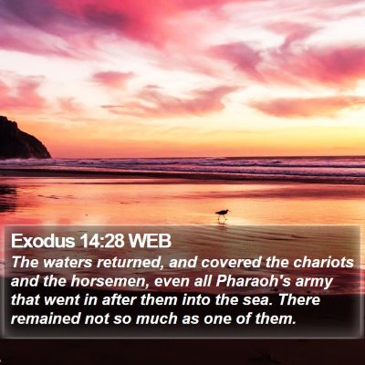 Exodus 14:28 WEB Bible Verse Image