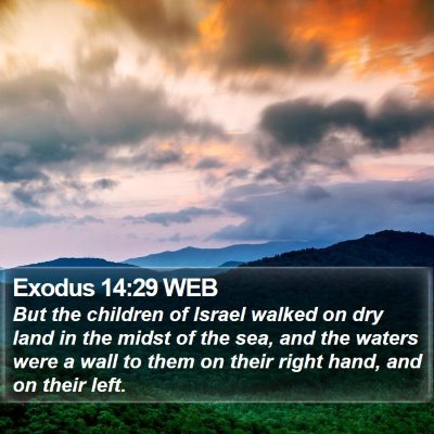 Exodus 14:29 WEB Bible Verse Image