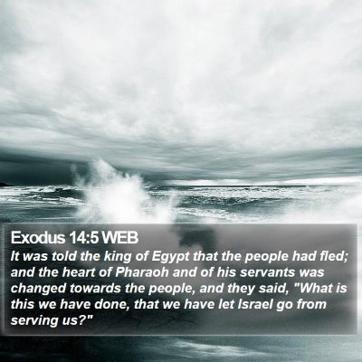 Exodus 14:5 WEB Bible Verse Image