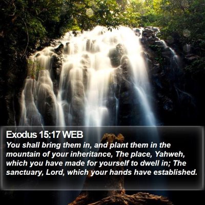 Exodus 15:17 WEB Bible Verse Image