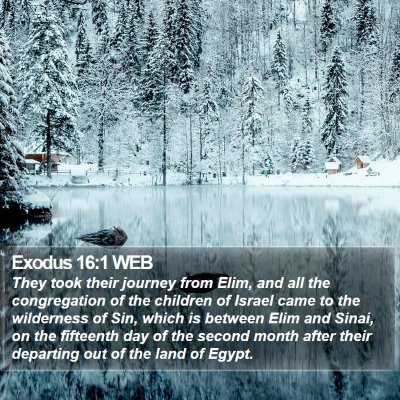 Exodus 16:1 WEB Bible Verse Image
