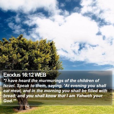 Exodus 16:12 WEB Bible Verse Image