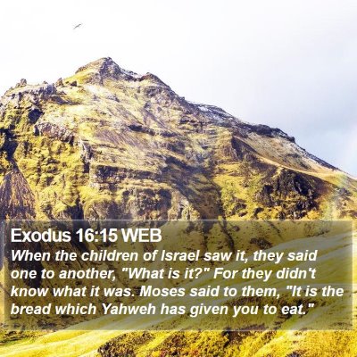 Exodus 16:15 WEB Bible Verse Image