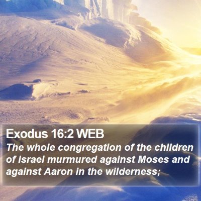 Exodus 16:2 WEB Bible Verse Image