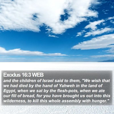 Exodus 16:3 WEB Bible Verse Image