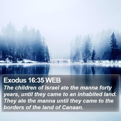 Exodus 16:35 WEB Bible Verse Image