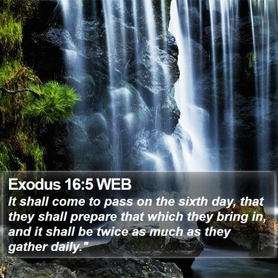 Exodus 16:5 WEB Bible Verse Image