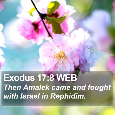 Exodus 17:8 WEB Bible Verse Image