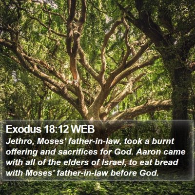 Exodus 18:12 WEB Bible Verse Image