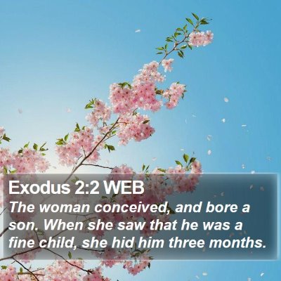 Exodus 2:2 WEB Bible Verse Image