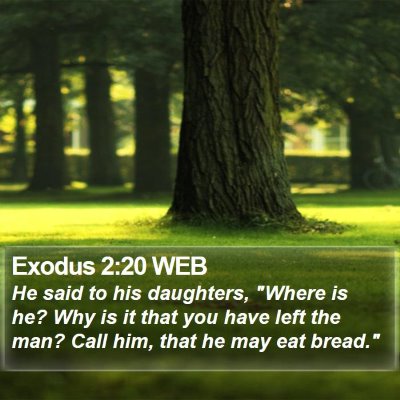 Exodus 2:20 WEB Bible Verse Image