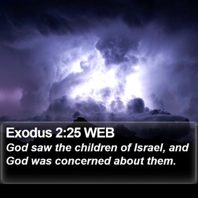 Exodus 2:25 WEB Bible Verse Image