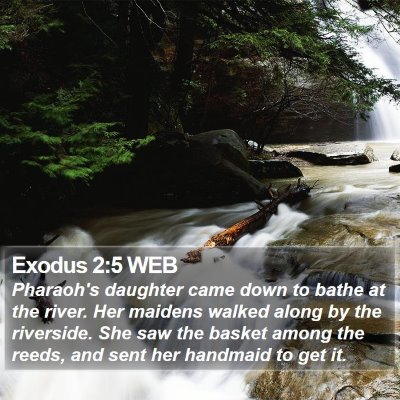 Exodus 2:5 WEB Bible Verse Image