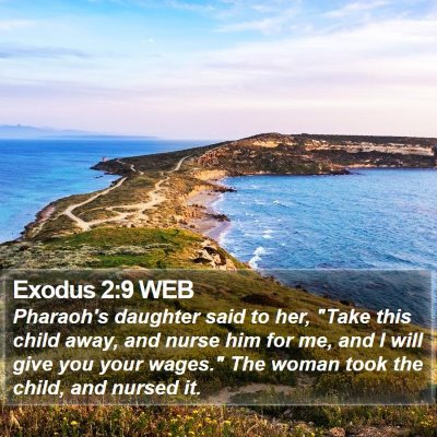Exodus 2:9 WEB Bible Verse Image