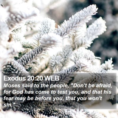 Exodus 20:20 WEB Bible Verse Image