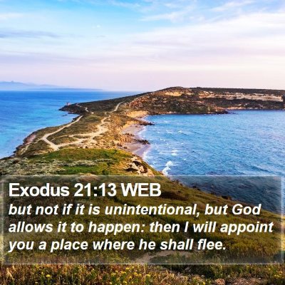 Exodus 21:13 WEB Bible Verse Image