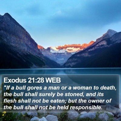 Exodus 21:28 WEB Bible Verse Image