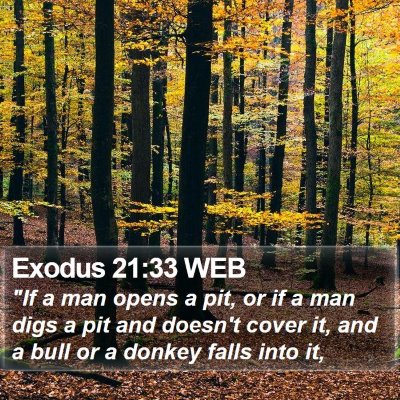 Exodus 21:33 WEB Bible Verse Image