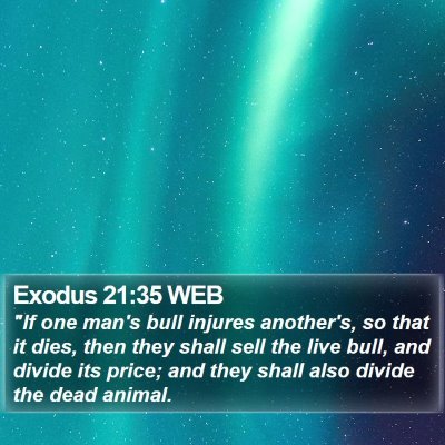 Exodus 21:35 WEB Bible Verse Image