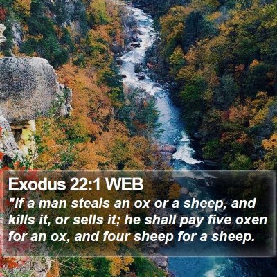 Exodus 22:1 WEB Bible Verse Image