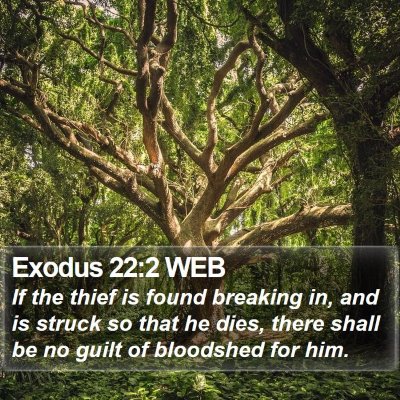 Exodus 22:2 WEB Bible Verse Image