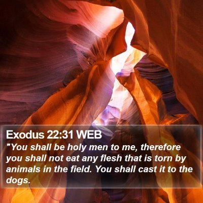 Exodus 22:31 WEB Bible Verse Image