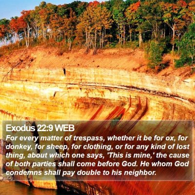Exodus 22:9 WEB Bible Verse Image