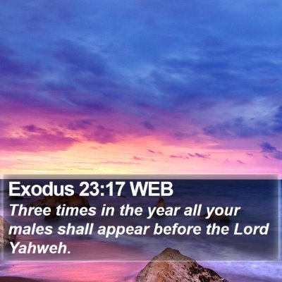 Exodus 23:17 WEB Bible Verse Image