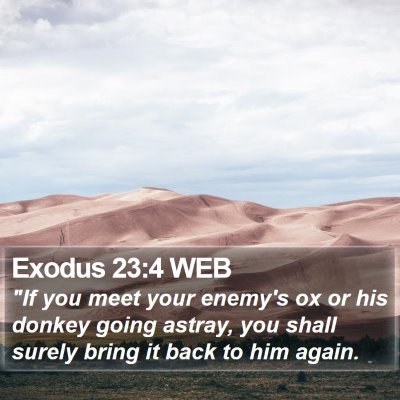 Exodus 23:4 WEB Bible Verse Image