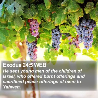 Exodus 24:5 WEB Bible Verse Image