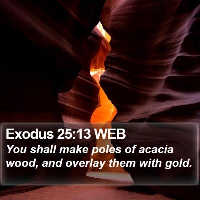 Exodus 25:13 WEB Bible Verse Image