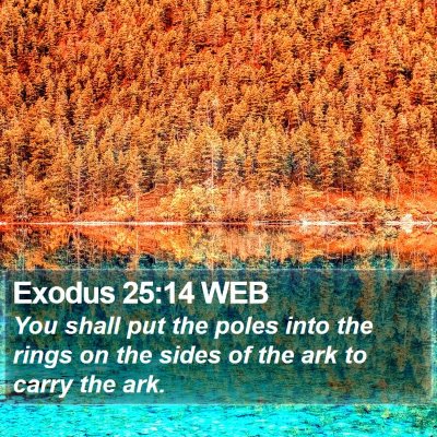 Exodus 25:14 WEB Bible Verse Image