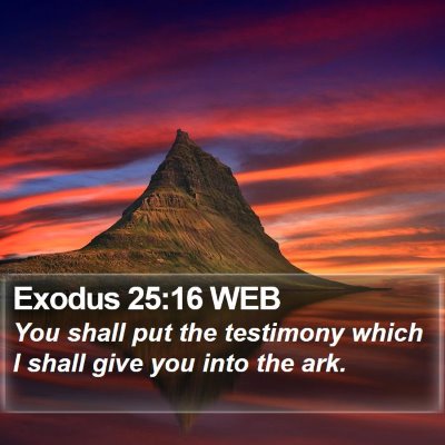 Exodus 25:16 WEB Bible Verse Image