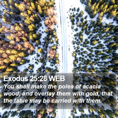 Exodus 25:28 WEB Bible Verse Image