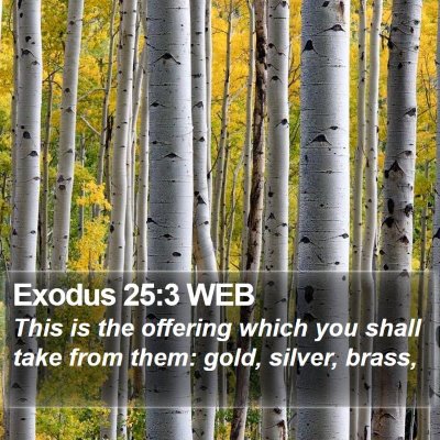 Exodus 25:3 WEB Bible Verse Image