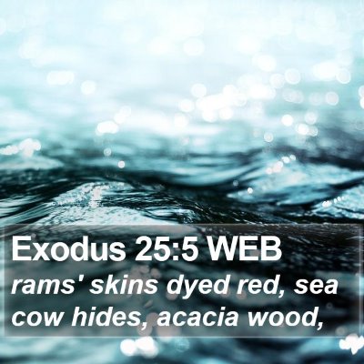 Exodus 25:5 WEB Bible Verse Image