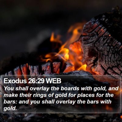 Exodus 26:29 WEB Bible Verse Image