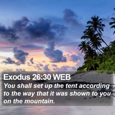Exodus 26:30 WEB Bible Verse Image